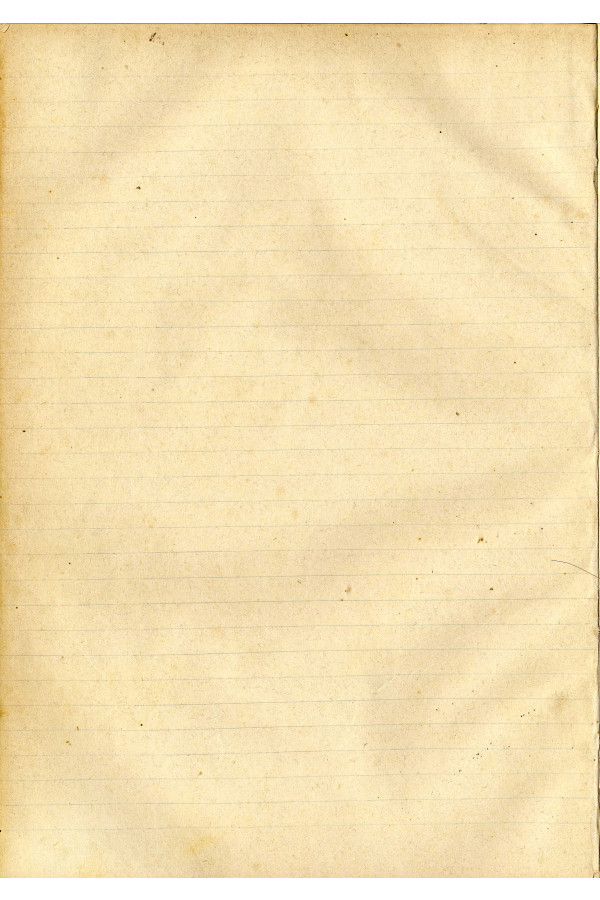 BUSTA 3 CAT I CLASSE VIII FASCICOLO 1 ANNI 1876 1883 SERIE N 16 REG N 14 REG A 1876 1879 PAGINA 19 V TIPO Foglio Interno 002